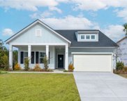 321 Clearwater Walk, Hardeeville image