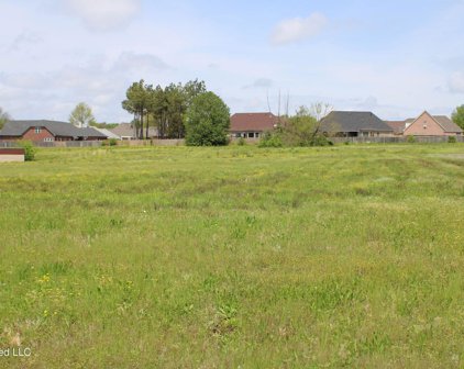 E Goodman Road, Southaven
