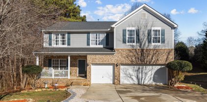 516 Warlick Meadow  Court, Lake Wylie