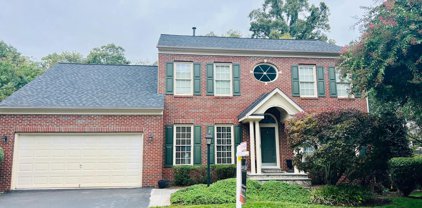 10012 Island Fog Ct, Bristow