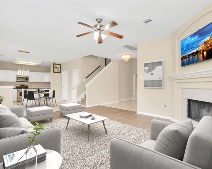 25507 Brisk Spring Court, Spring