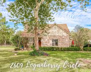2609 Loganberry Circle, Seabrook image