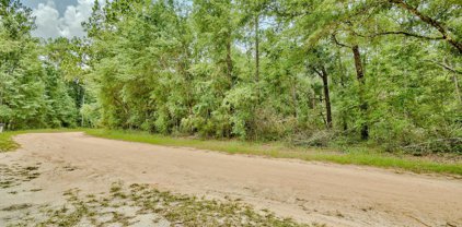 Lot 15 Blue Creek Road, Ponce De Leon