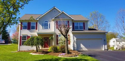 32 Live Oak   Court, Westminster