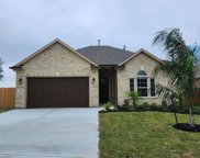 1610 Mija Park Road, Seabrook image