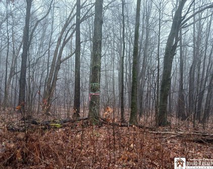 00 Ho-Sta-Geh  Road, Allegany-042089