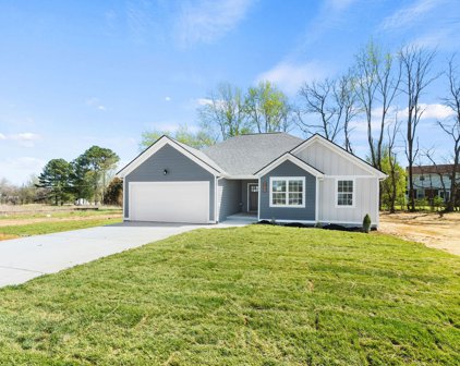 3245 Sofia, Springfield