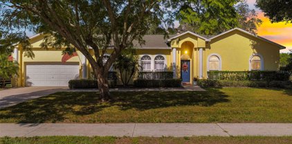 2410 Buckhorn School Court, Valrico