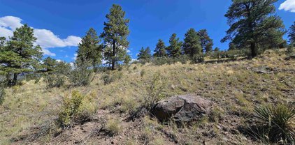 358 Escondida, South Fork