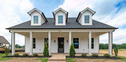 3538 Hatton Drive, Nesbit