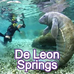 De Leon Springs Florida Homes for Sale