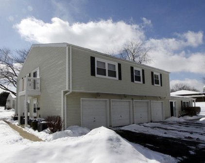 321 Joan Court Unit #D, Bartlett