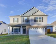 143 Doolittle Drive, Chapin image