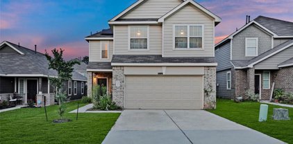 13516 Brooklyn Mead Lane, Willis