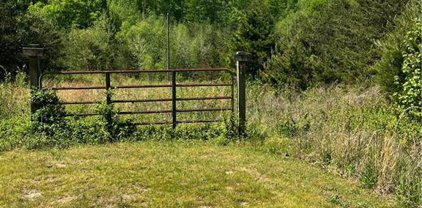 7020 Cain Forest Court, Walkertown