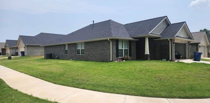 7826 Ferndale Drive, Olive Branch