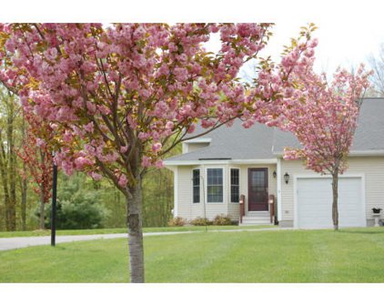 8 Fiddle Neck Lane Unit 8, Southborough