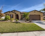 13313 Fawn Lily Drive, Riverview image