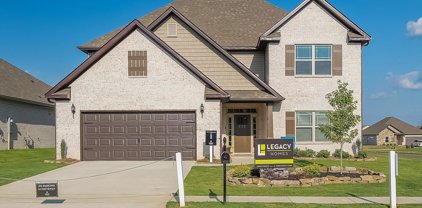 411 Tracer Street, Huntsville