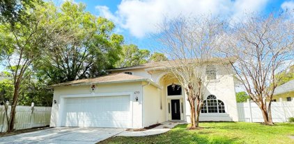 655 Cohn Lane, Safety Harbor