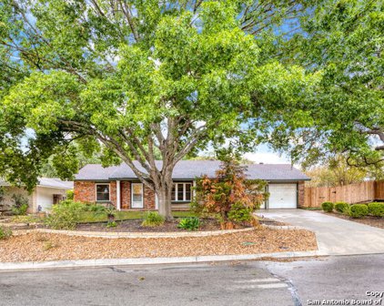 12817 Old Spanish Trail, Live Oak