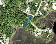 134 Timber Ln, Carrabelle image