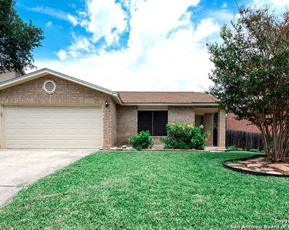 15726 Persimmon Hill Dr, San Antonio