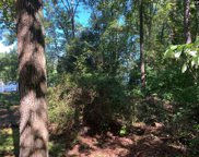 Shellcracker Drive, Leesville image