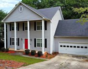 206 Audubon Oaks Way, Irmo image