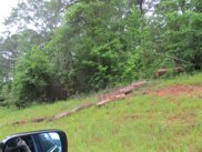510 Sweetwater Drive, Cataula image