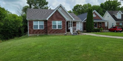71 Clifton Ct, Shelbyville
