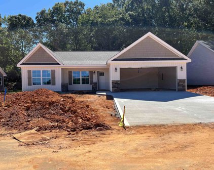 107 Caylee, Chesnee