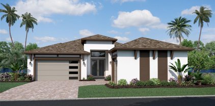 8634 Drummer Plank Drive, Wesley Chapel