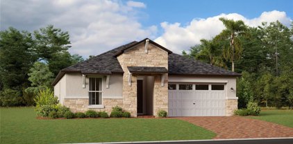 9810 Carabiner Way, Land O' Lakes