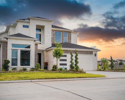 11045 N Lake Mist Lane, Willis