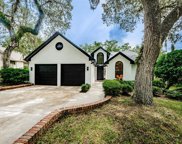 331 Cascade Lane, Palm Harbor image