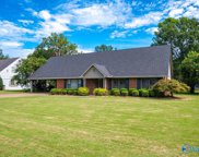 2326 Quince Drive, Decatur image