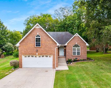 1041 S Burnham Dr, Hendersonville