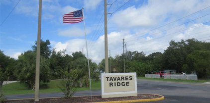 Tavares