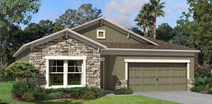 9300 Crescent Ray Drive, Wesley Chapel