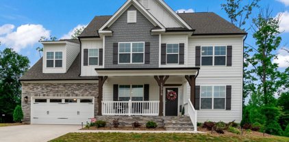 13319 Fiore  Place, Huntersville