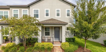 9766 Amber Chestnut Way, Winter Garden