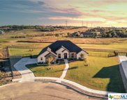 1354 Kyleigh Drive, Salado image
