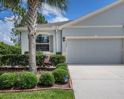 33042 Windelstraw Drive, Wesley Chapel