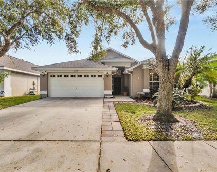16917 Hawkridge Road, Lithia