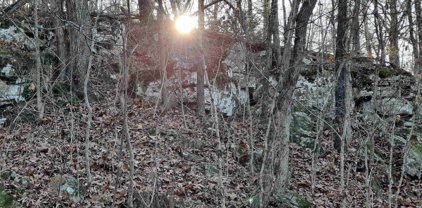 00 Wildhaven, Mountain View