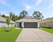 22647 Kiskadee Court, Splendora image