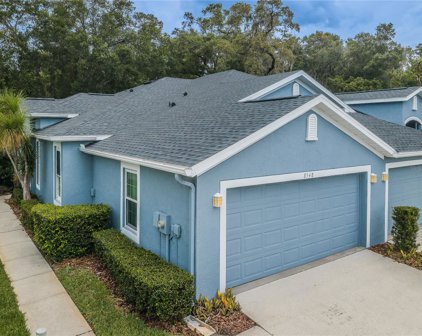 8548 Acorn Ridge Court, Tampa