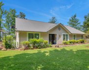 677  Co Rd 229, Crane Hill image