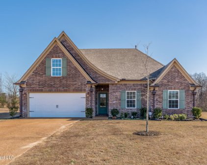 2400 Christian Cove, Southaven